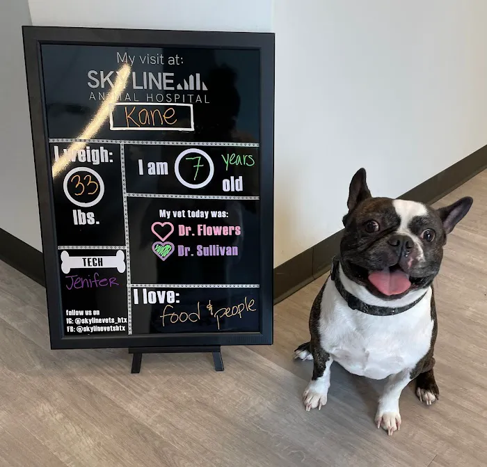 Skyline Animal Hospital 12