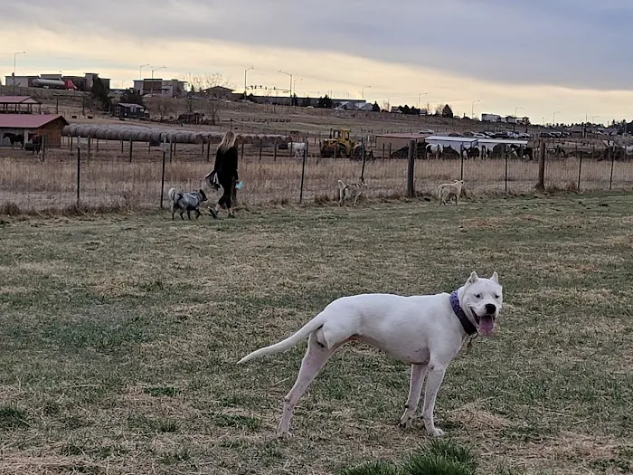 Skyline Animal Hospital 12