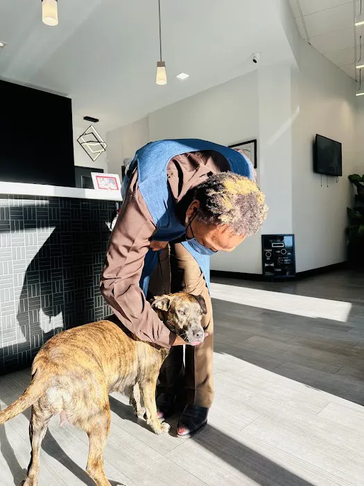 Skyline Animal Hospital 12