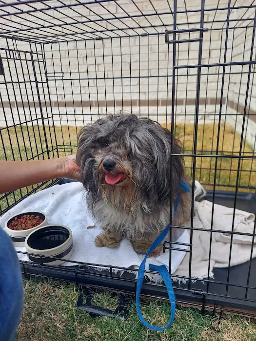 Fairbanks Animal Clinic 12