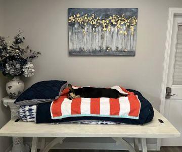 Pets We Loved Memorials