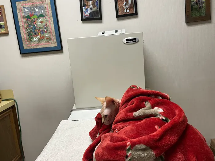 Gulf Coast Animal Eye Clinic 12