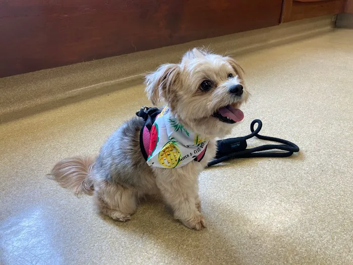 Baxter and Cleo Veterinary Clinic 12