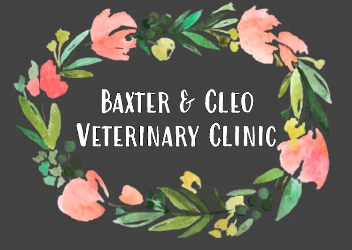 Baxter and Cleo Veterinary Clinic 12