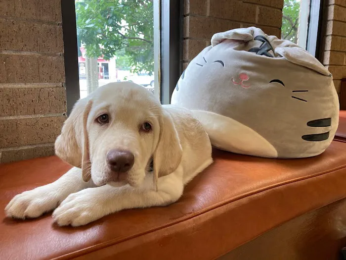 Baxter and Cleo Veterinary Clinic 12