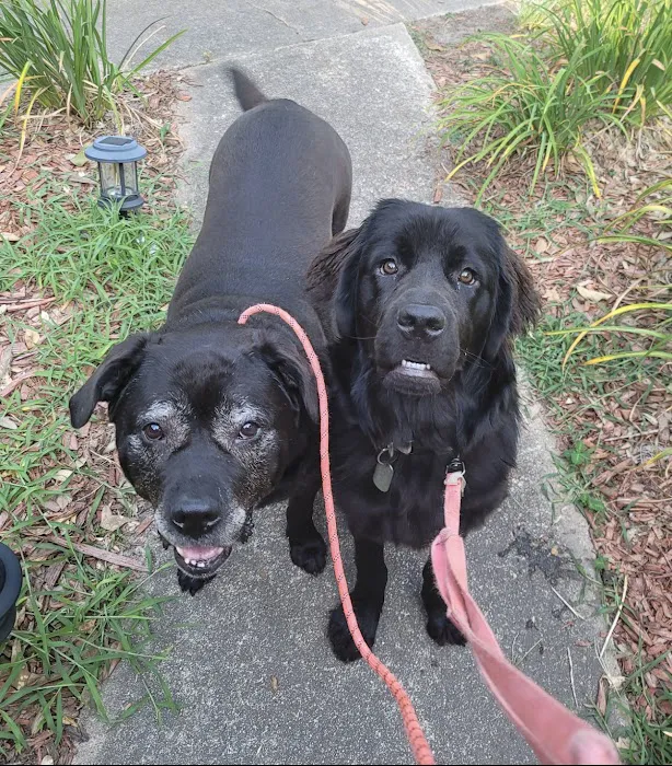 Baxter and Cleo Veterinary Clinic 12