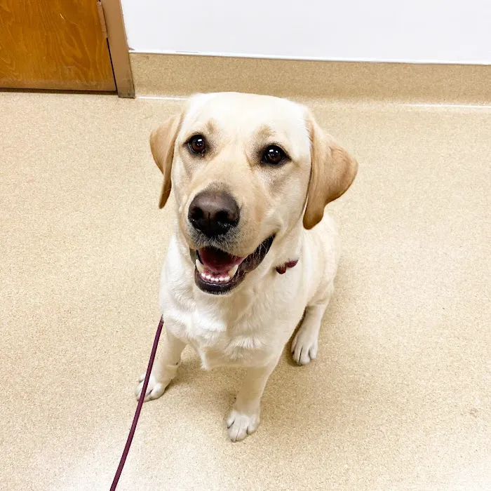 Baxter and Cleo Veterinary Clinic 12