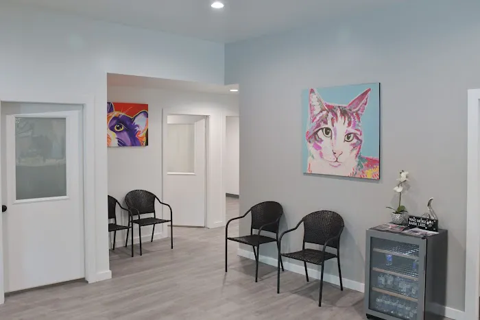 Memorial Villages Animal Hospital 12