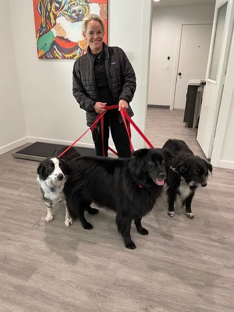 Memorial Villages Animal Hospital 12