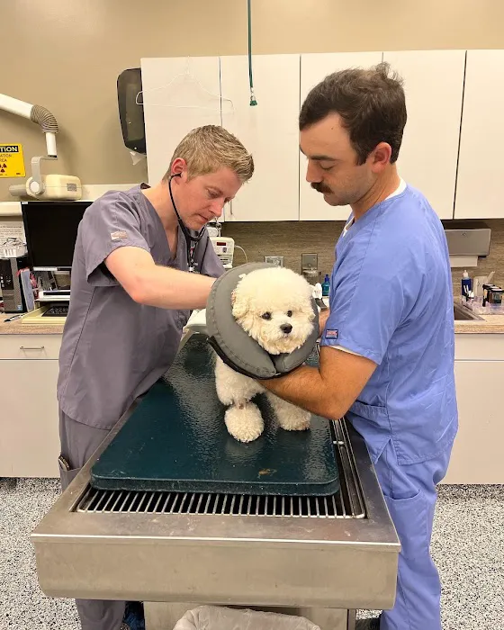 H-Town Veterinary Specialists (Spring Branch) 12