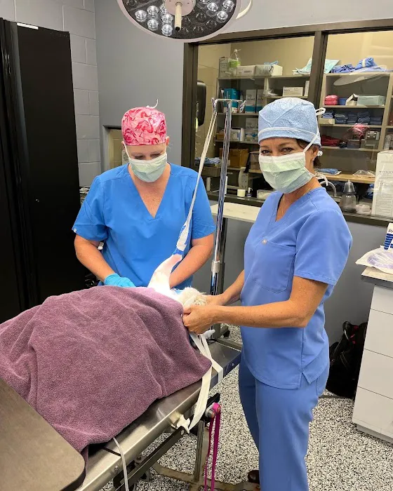 H-Town Veterinary Specialists (Spring Branch) 12