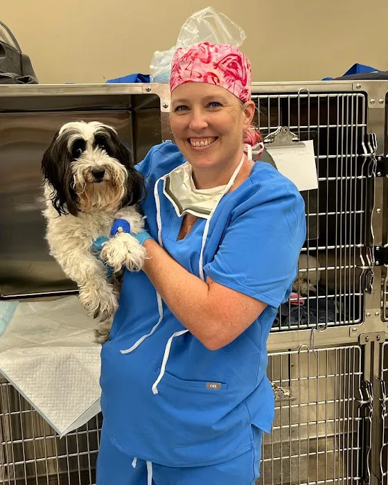 H-Town Veterinary Specialists (Spring Branch) 12