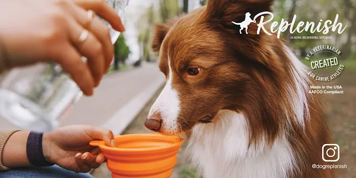 Replenish Pet Chiropractic and All natural dog products 12