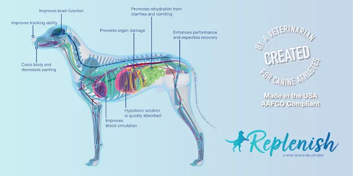 Replenish Pet Chiropractic and All natural dog products 12