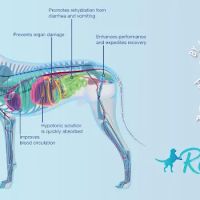 Replenish Pet Chiropractic and All natural dog products ico