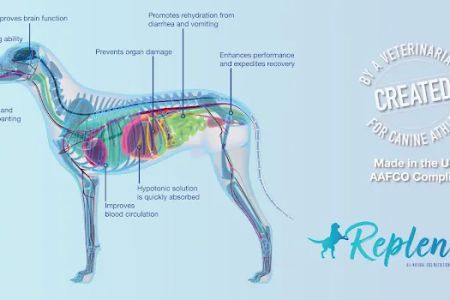 Replenish Pet Chiropractic and All natural dog products