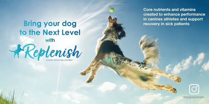 Replenish Pet Chiropractic and All natural dog products 12