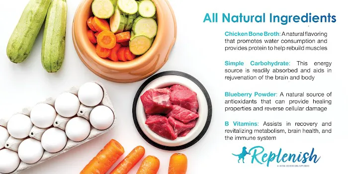 Replenish Pet Chiropractic and All natural dog products 12
