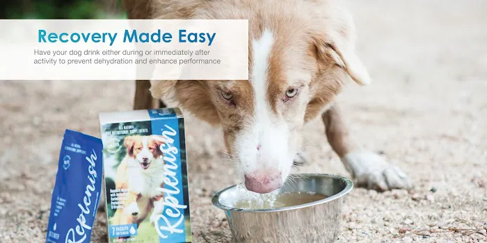 Replenish Pet Chiropractic and All natural dog products 12