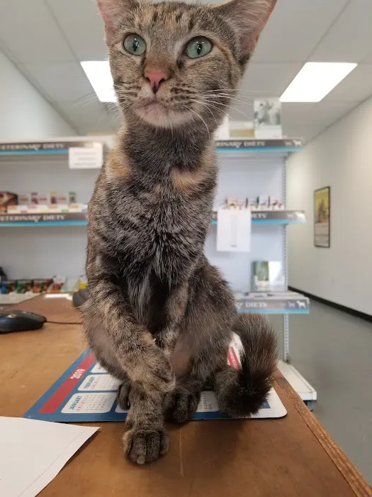 Pet Check Animal Clinic 12