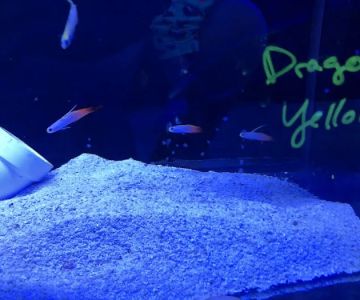 Love The Reef