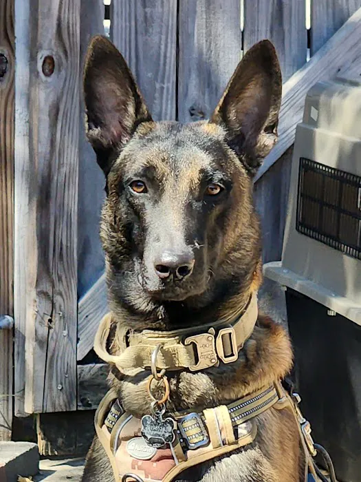 Canfel Care Animal Hospital 12