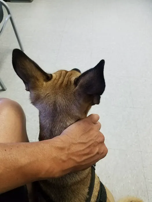 Canfel Care Animal Hospital 12
