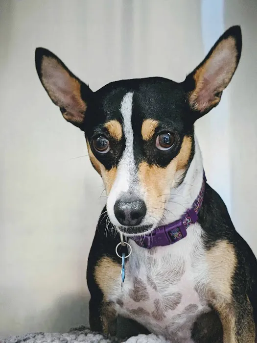 Echo Lane Animal Clinic 12