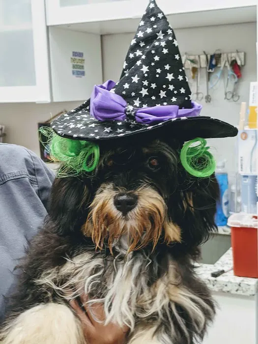 Echo Lane Animal Clinic 12