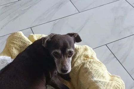 Safe Haven Animal Hospital