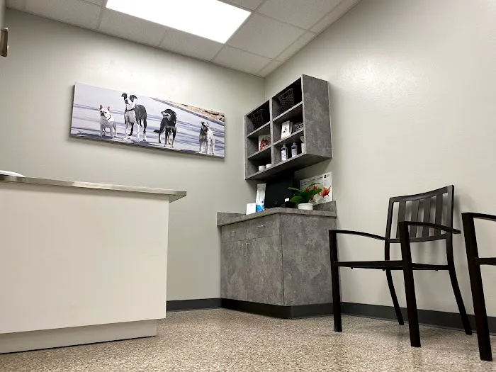 Pet Clinic On Bellfort 12