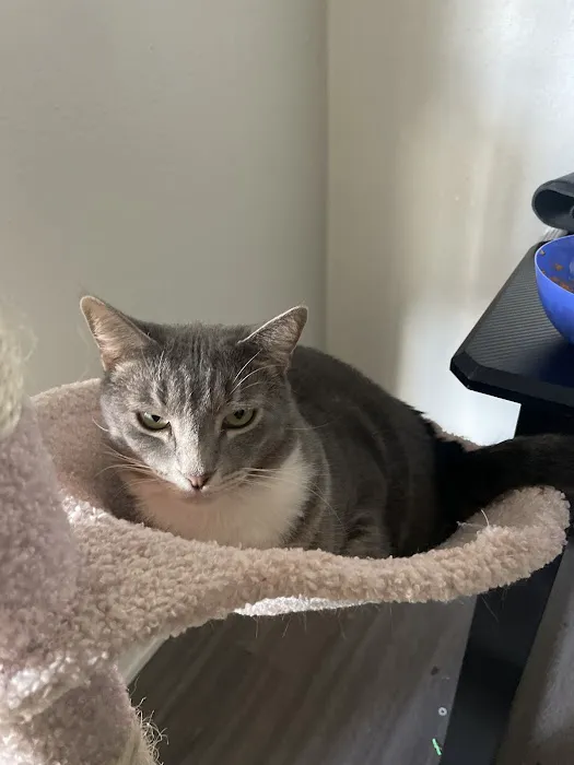 Southeast Animal Clinic 12