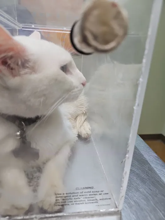 Southeast Animal Clinic 12