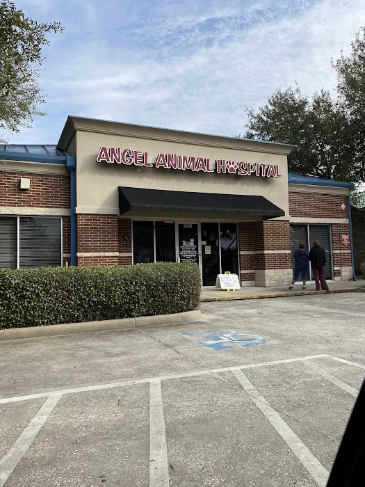 Angel Animal Hospital 12