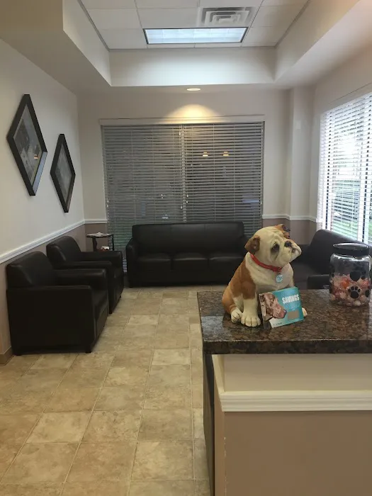 Angel Animal Hospital 12
