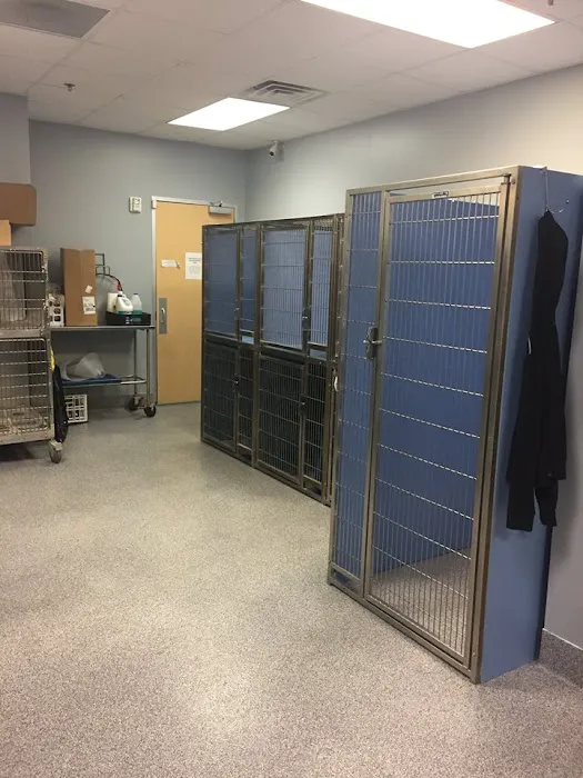 Angel Animal Hospital 12