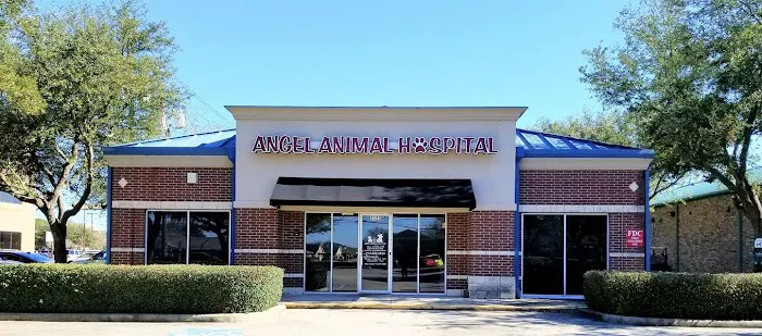 Angel Animal Hospital 12