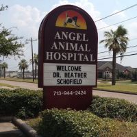 Angel Animal Hospital ico