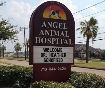 Angel Animal Hospital