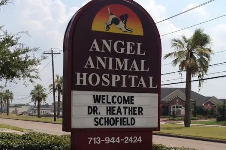 Angel Animal Hospital