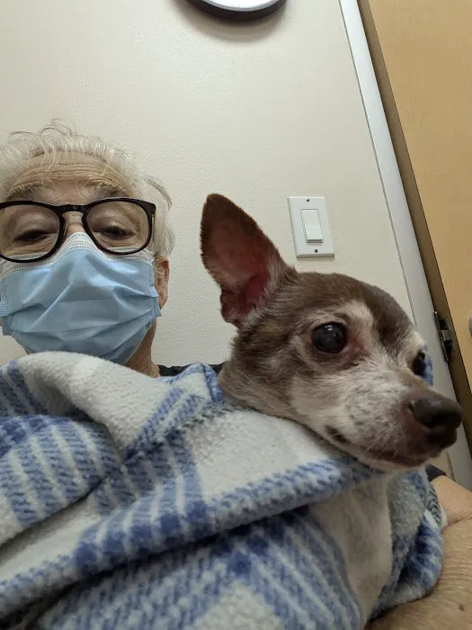 Angel Animal Hospital 12