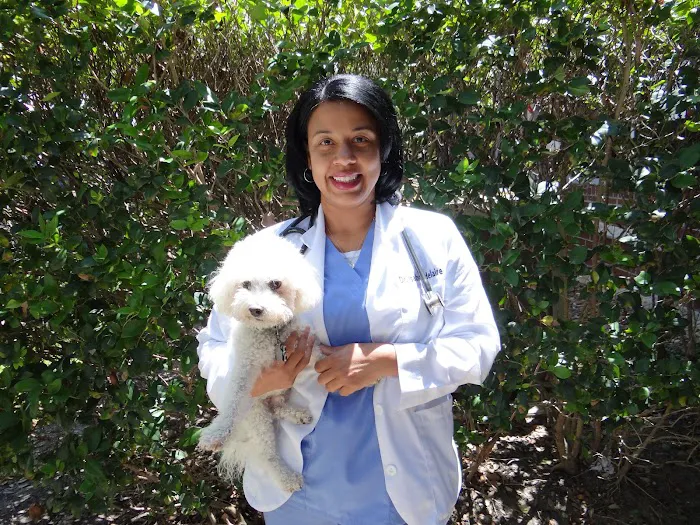 Angel Animal Hospital 12