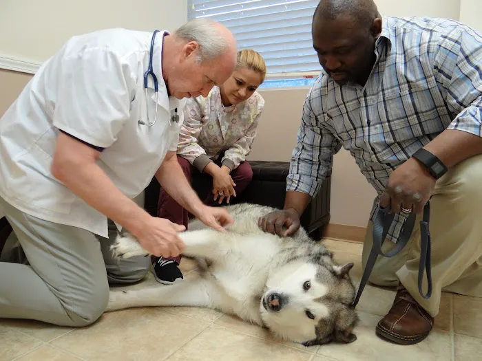 Angel Animal Hospital 12