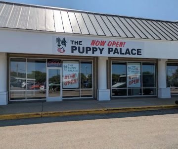 The Puppy Palace
