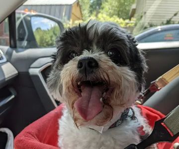 Petco