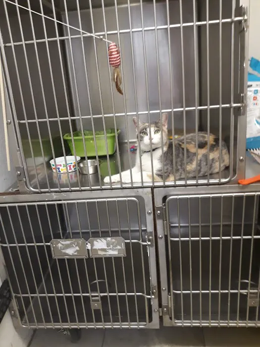 Fairmont Pet Hospital 12