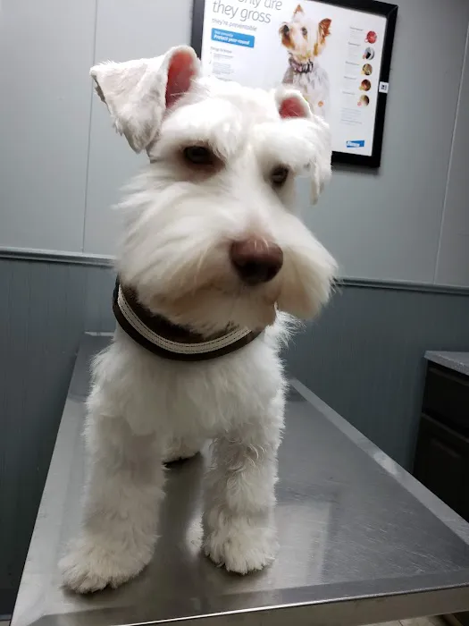 Fairmont Pet Hospital 12