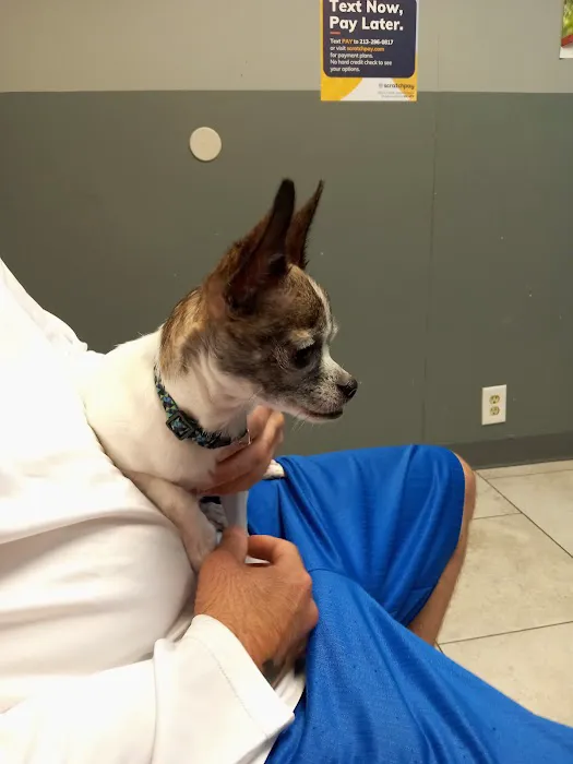 Fairmont Pet Hospital 12
