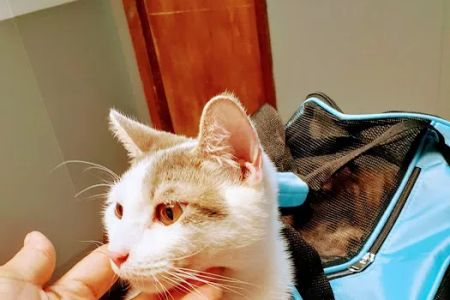 Fairmont Pet Hospital