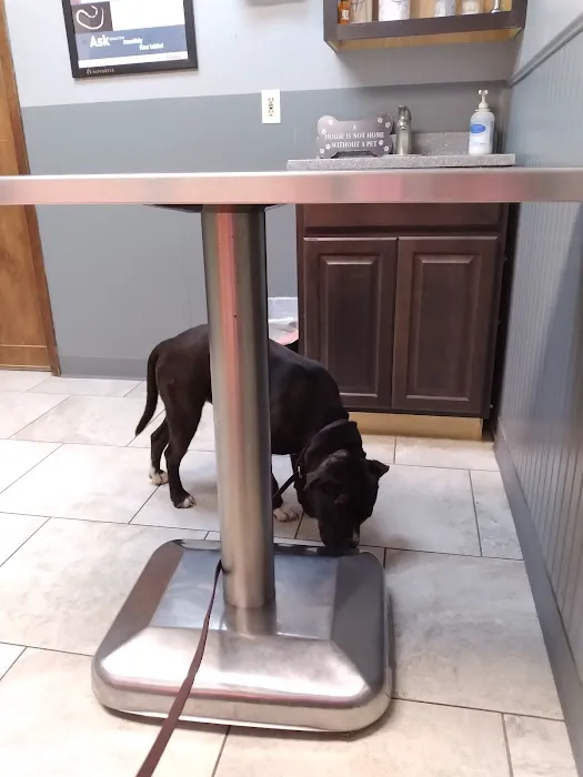 Fairmont Pet Hospital 12